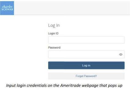 Schwab login token