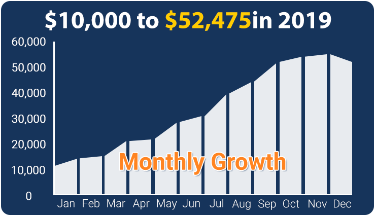 Monthly growth chart 2019